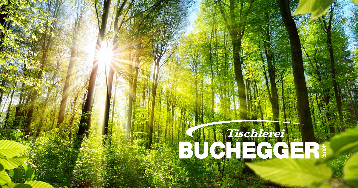 (c) Tischlerei-buchegger.at